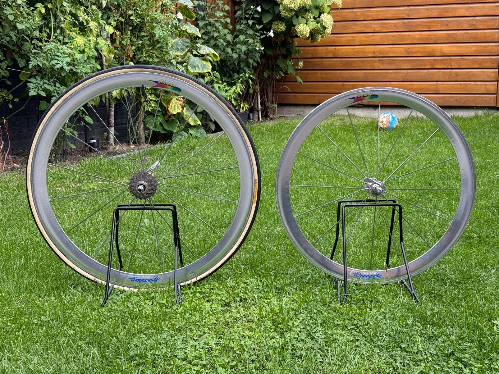 Wielset Campagnolo Shamal 1st generatie, Ophalen, Gebruikt, Tijdrit-/triatlonfiets, Wiel