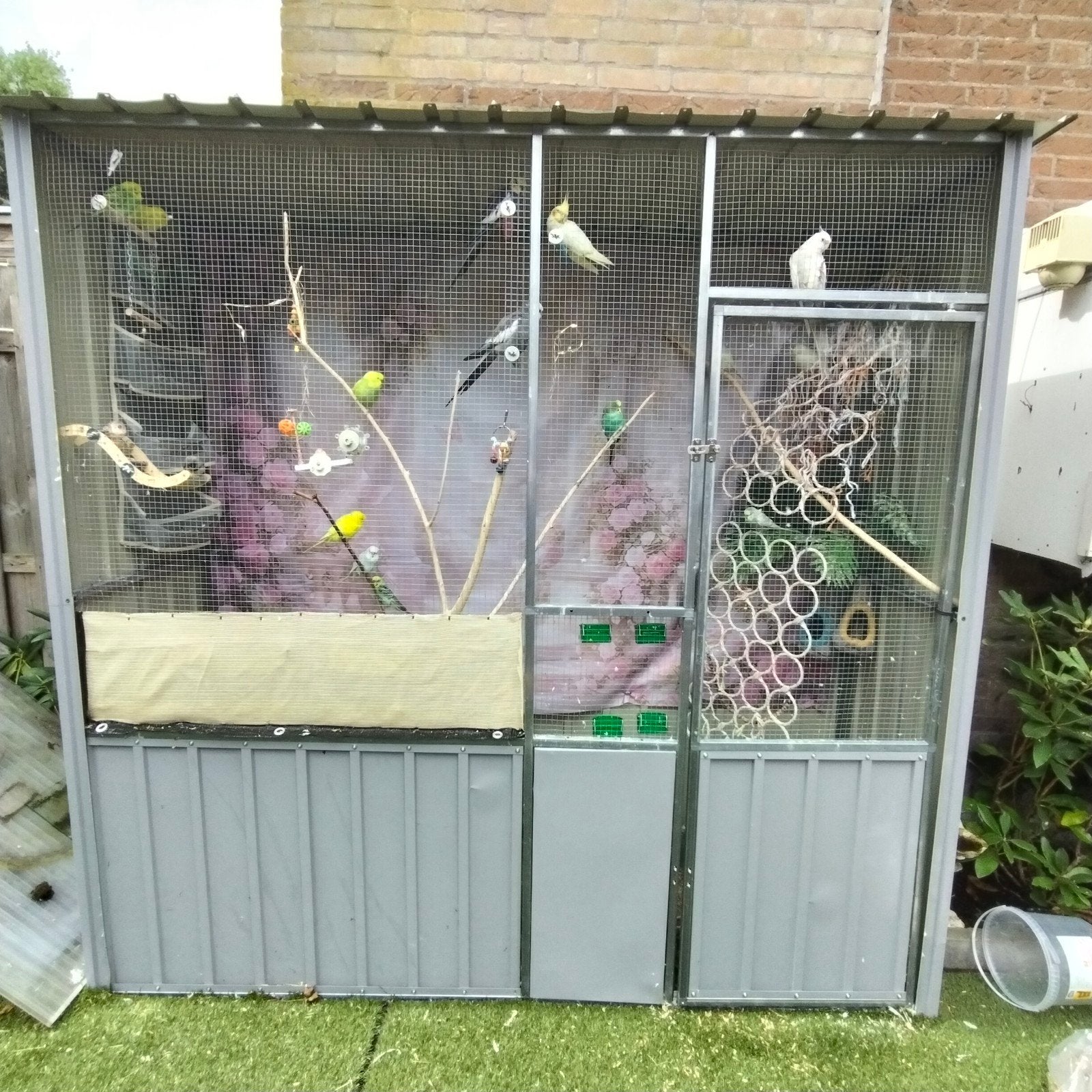 volière met vogels en toebehoren..., Dieren en Toebehoren, Vogels | Hokken en Kooien, Ophalen, Zo goed als nieuw, Vogelkooi