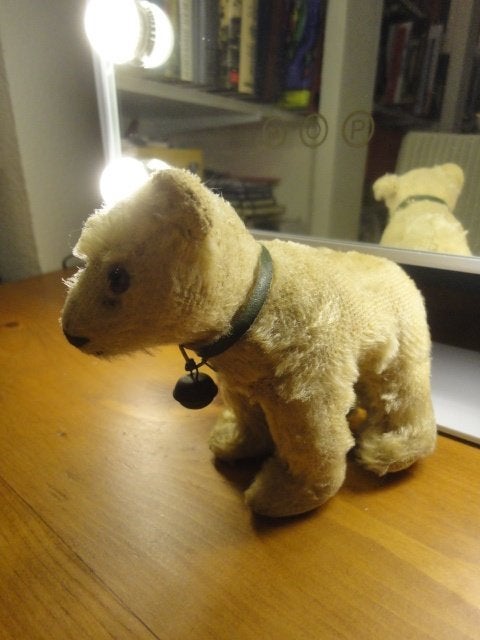 antiek STEIFF BEERTJE op 4 POTEN + groene halsband/belletje, Antiek en Kunst, Antiek | Speelgoed, Ophalen of Verzenden
