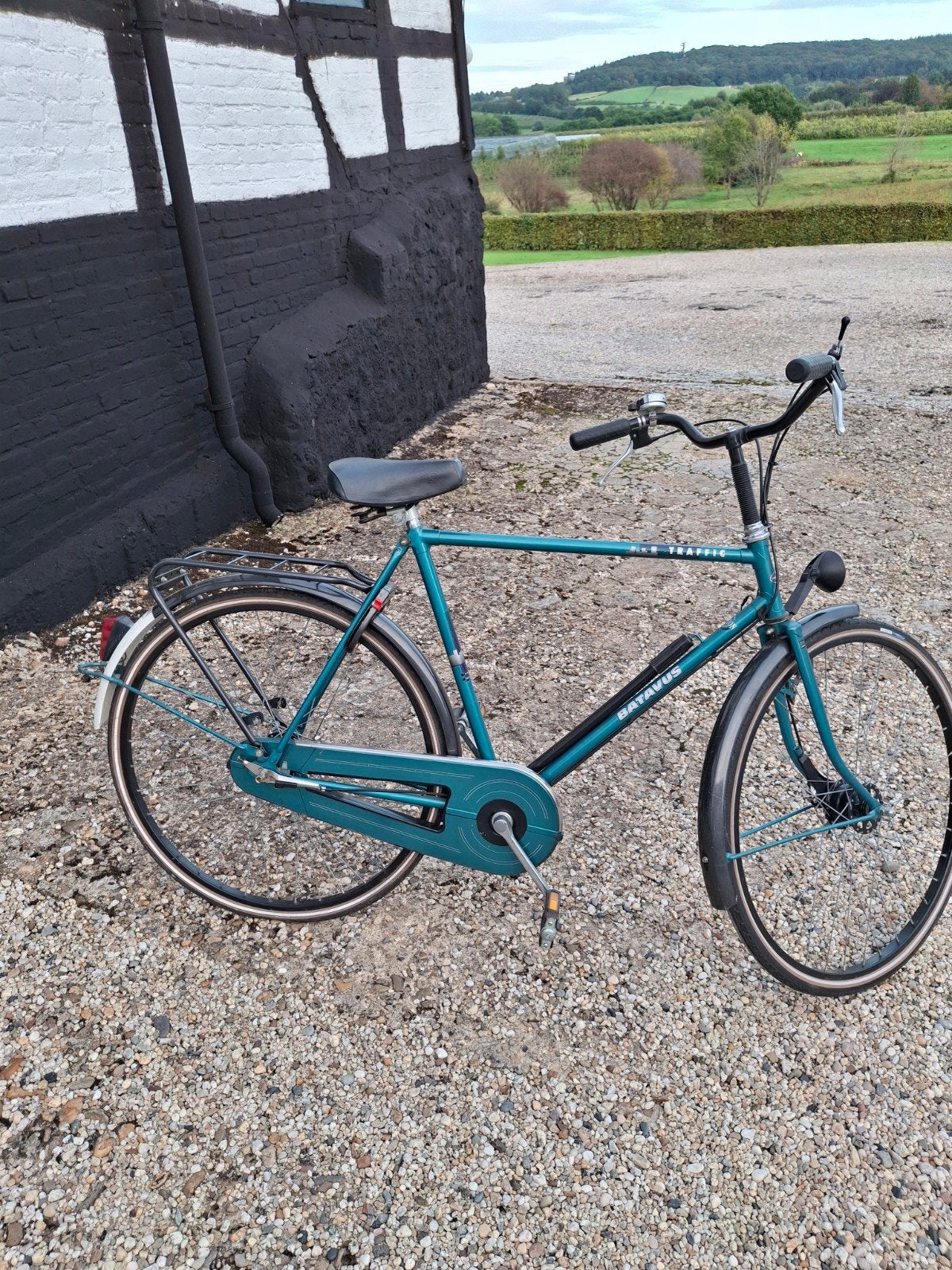 Batavus Traffic Stadsfiets - Groen - Gebruikt, Terugtraprem, Versnellingen, Batavus, Ophalen of Verzenden