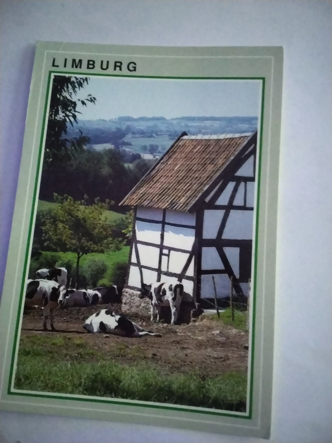 Oude ansichtkaart Limburg met koeien en vakwerkhuis, Verzamelen, Ophalen of Verzenden, 1980 tot heden, Gelopen, Limburg
