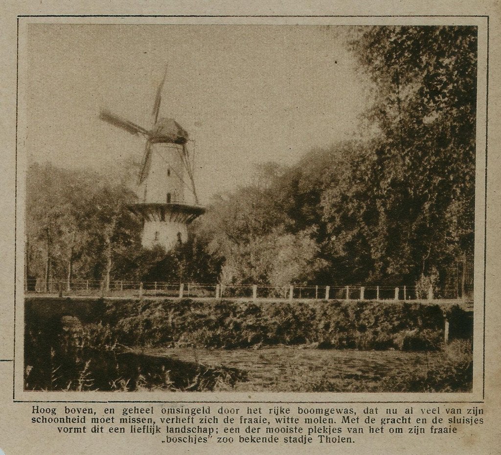 Tholen Zeeland knipsel molen De Hoop 1926, Gebruikt, Ophalen of Verzenden, Gebouw, Voor 1940