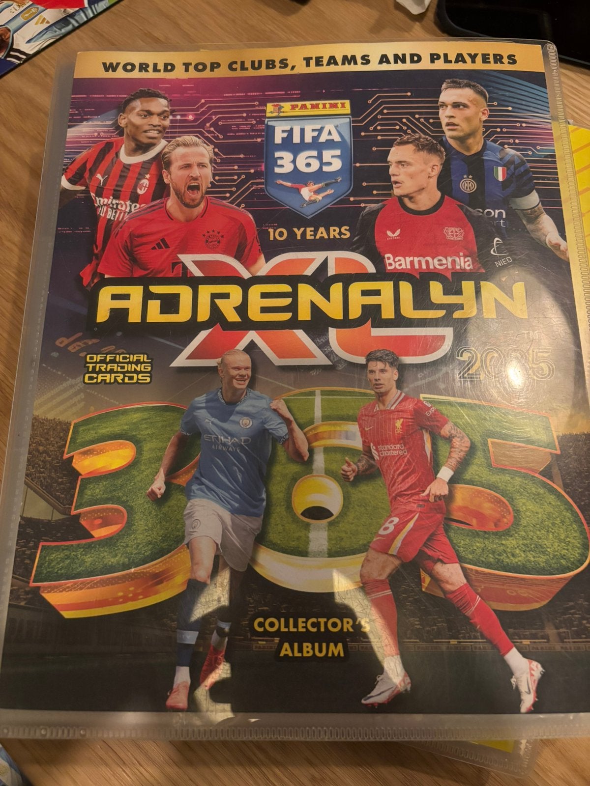 Dubbele Panini voetbalplaatjes en FIFA 365 Adrenalyn 2025, Ophalen of Verzenden, Gebruikt, Overige sporten, Poster, Plaatje of Sticker