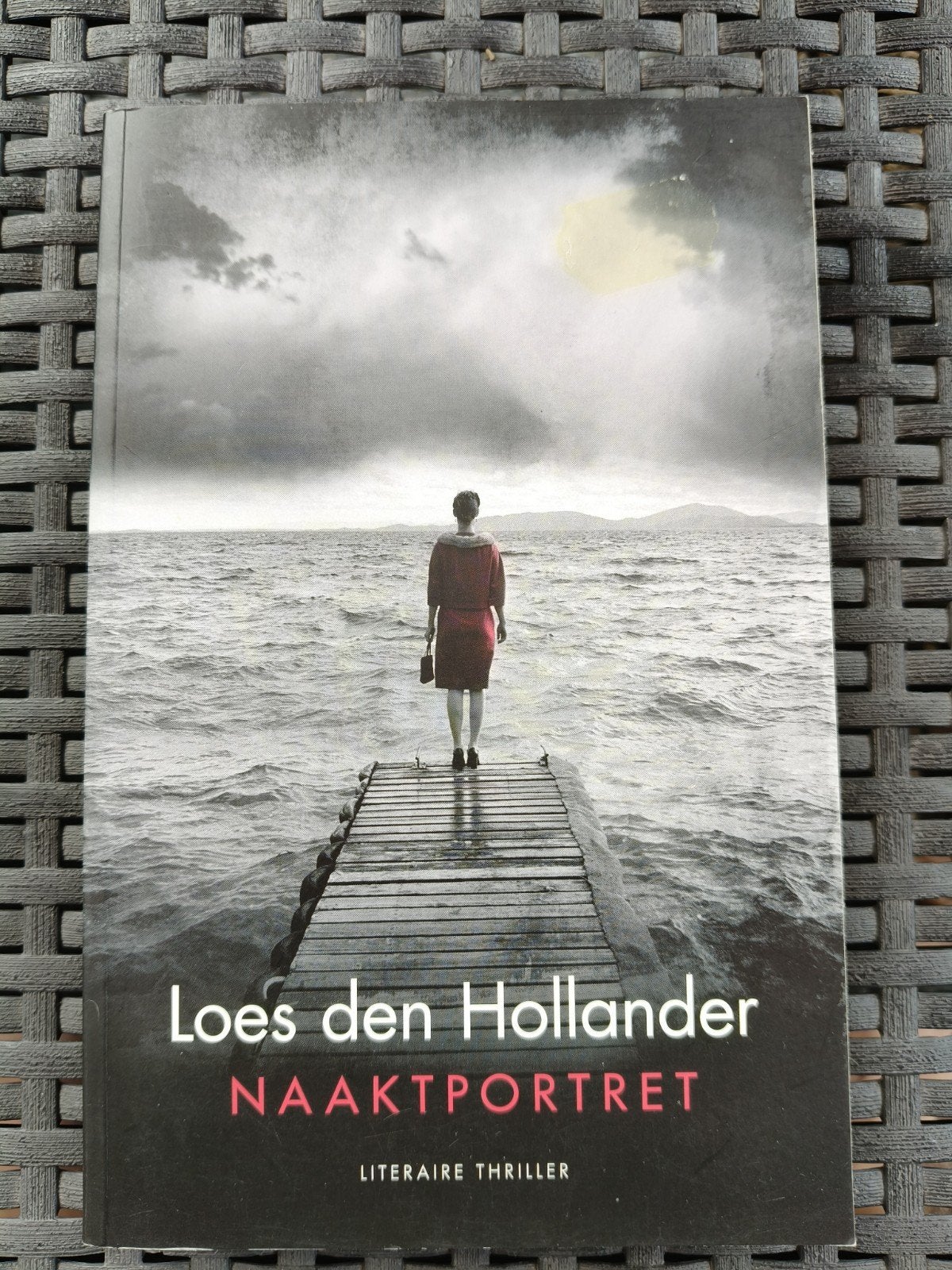 Loes den Hollander - Naaktportret (Literaire Thriller), Loes den Hollander, Ophalen of Verzenden, Zo goed als nieuw, Nederland
