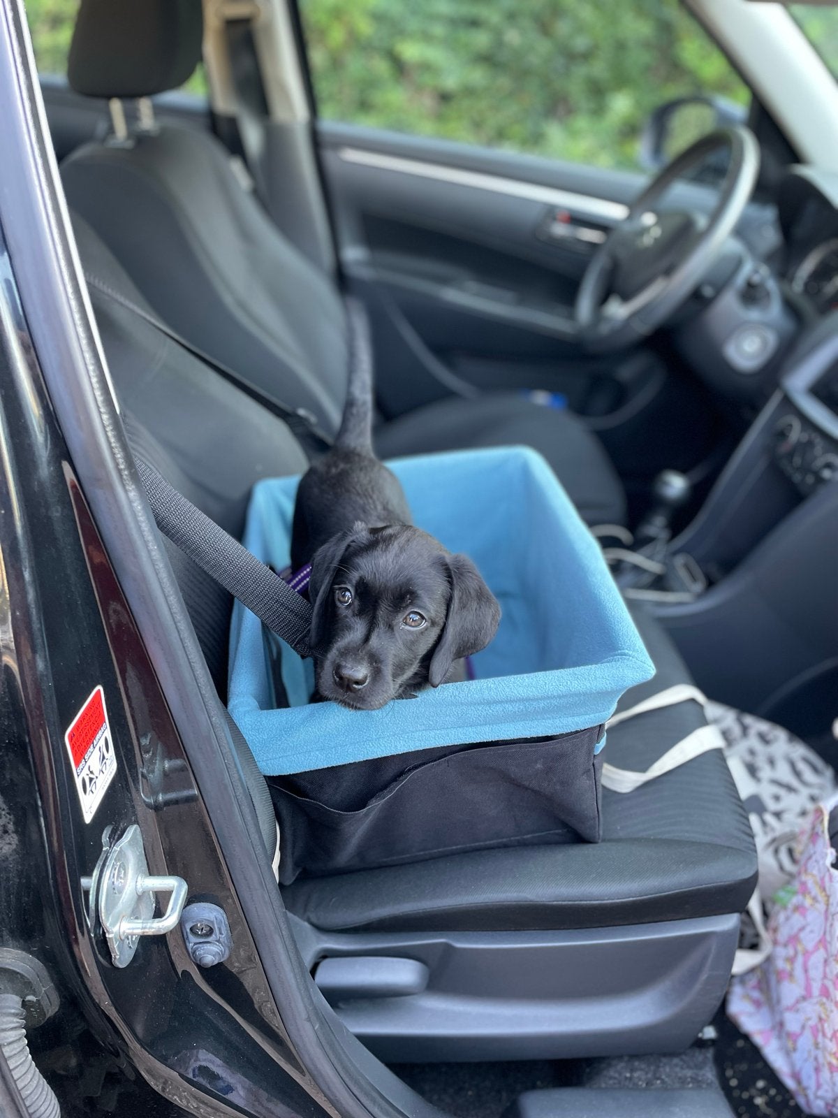 Kurgo rover booster seat - hondenmand auto, Ophalen of Verzenden, Nieuw