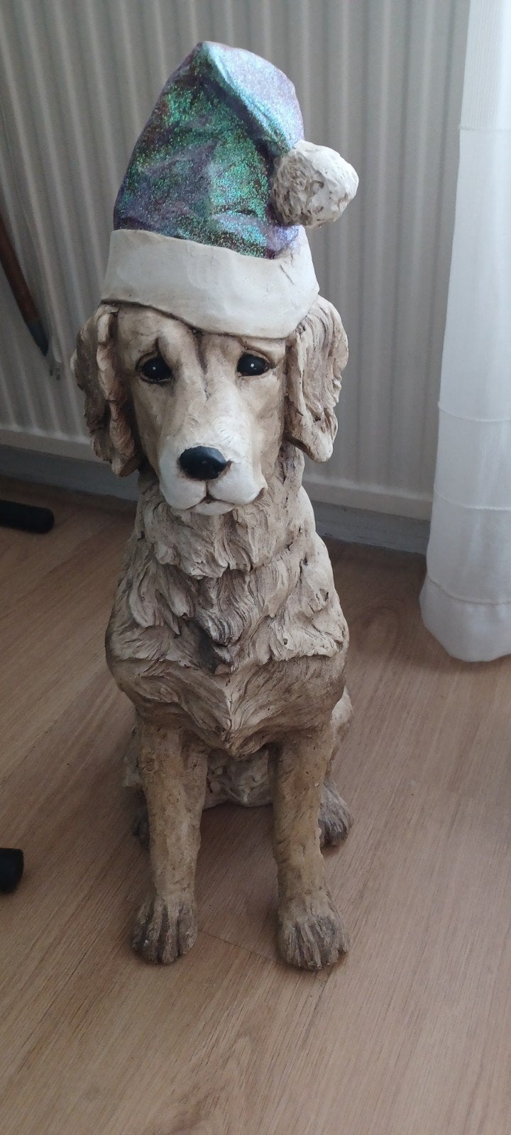 hond, Ophalen