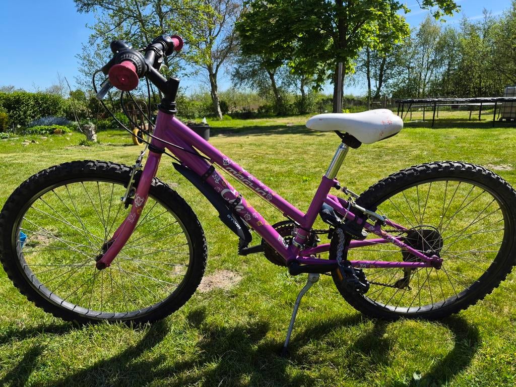 mountainbike (meisjes), Ophalen, Gebruikt, 20 inch