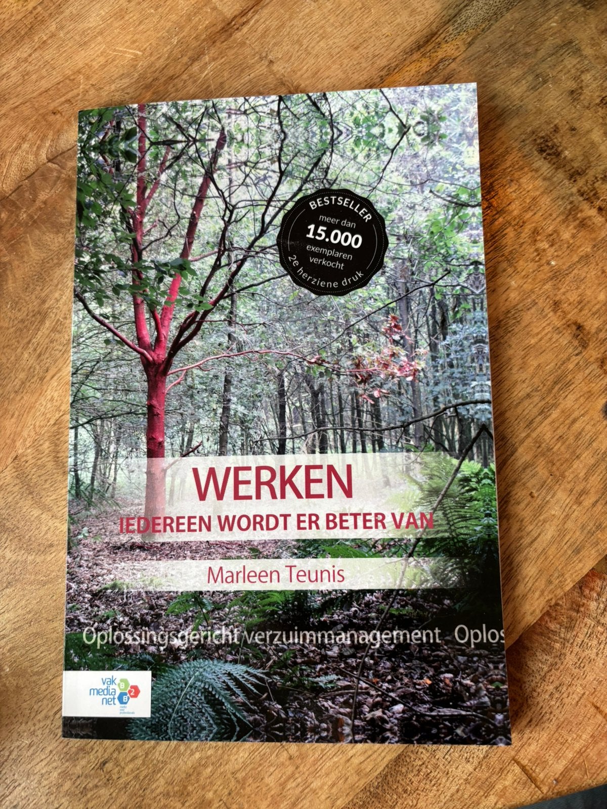 Werken, iedereen wordt er beter van, Boeken, Studieboeken en Cursussen, Ophalen of Verzenden, Beta, Zo goed als nieuw, HBO