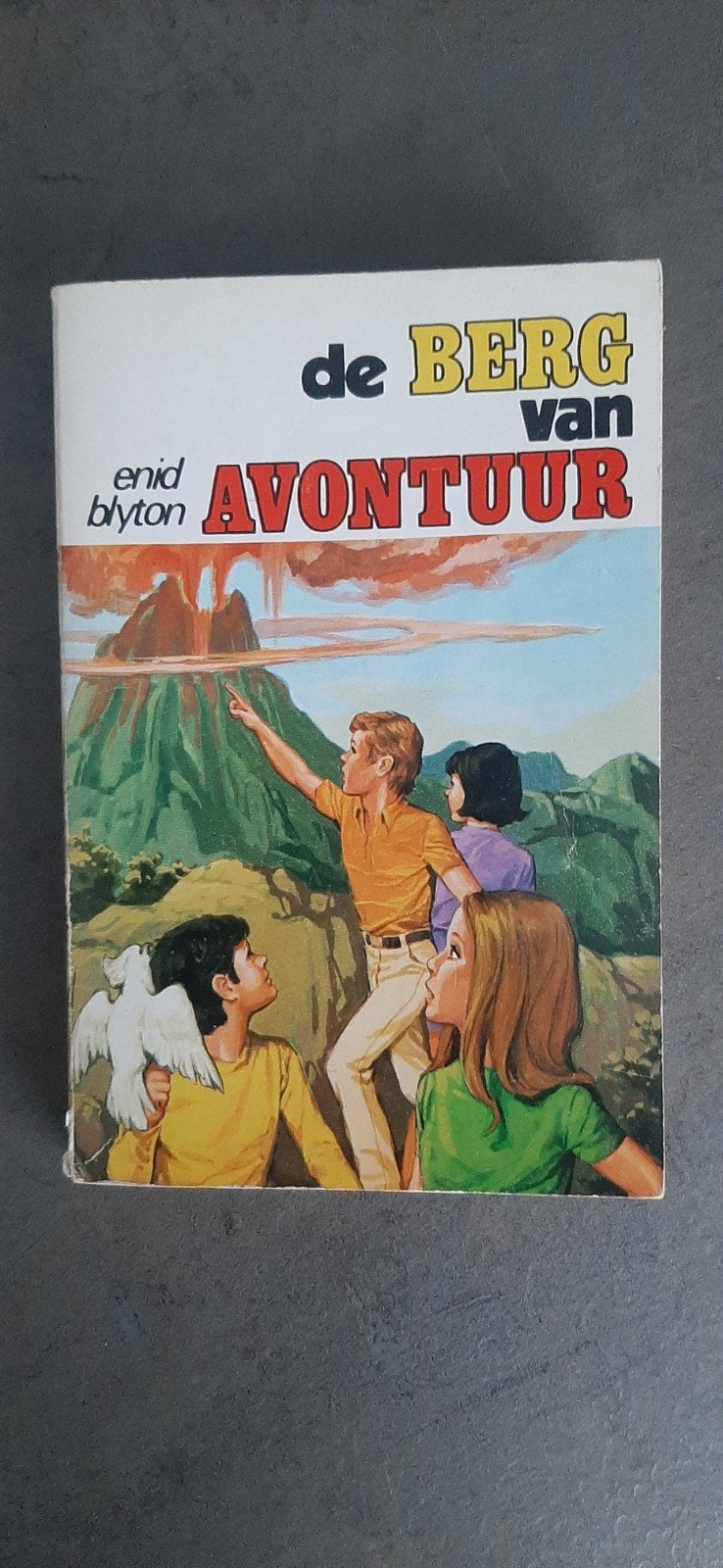 De berg van avontuur door Enid Blyton, Boeken, Ophalen of Verzenden
