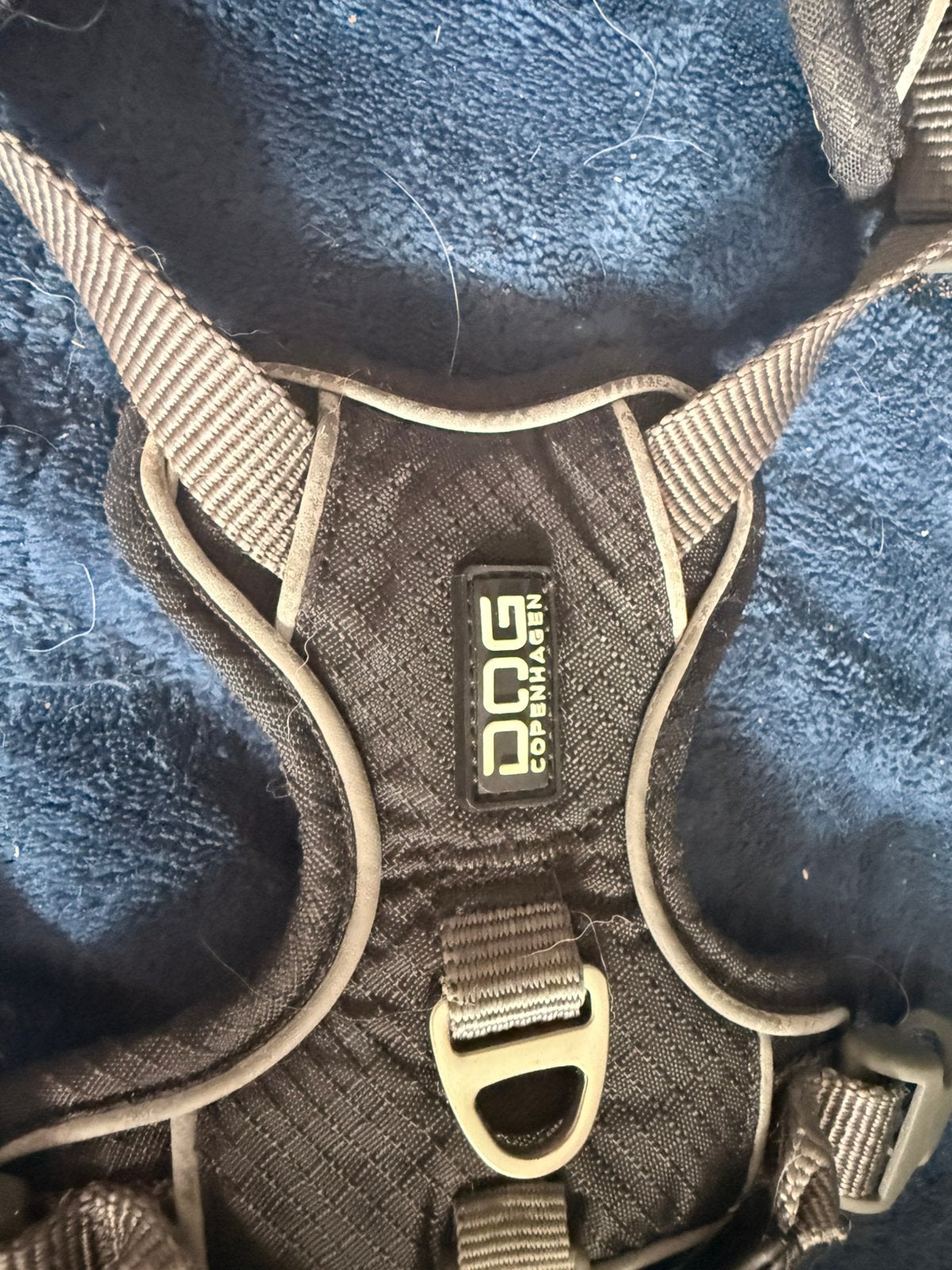 Dog copenhagen tuigje xs, Ophalen of Verzenden, Zo goed als nieuw