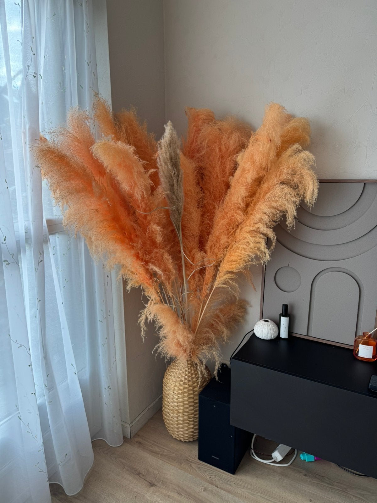 Leuke oranje pampasgras, Ophalen, Zo goed als nieuw