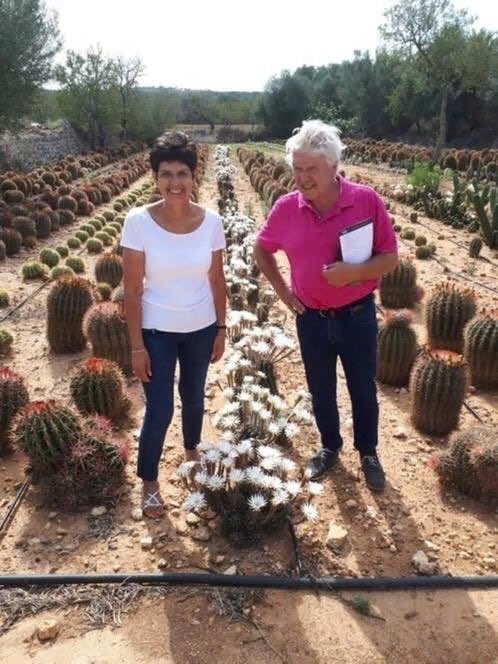 Open dag zaterdag12 SEPTEMBER Caudex & 25000m2 cactusplezier, Ophalen of Verzenden, Overige soorten, Halfschaduw, Minder dan 100 cm