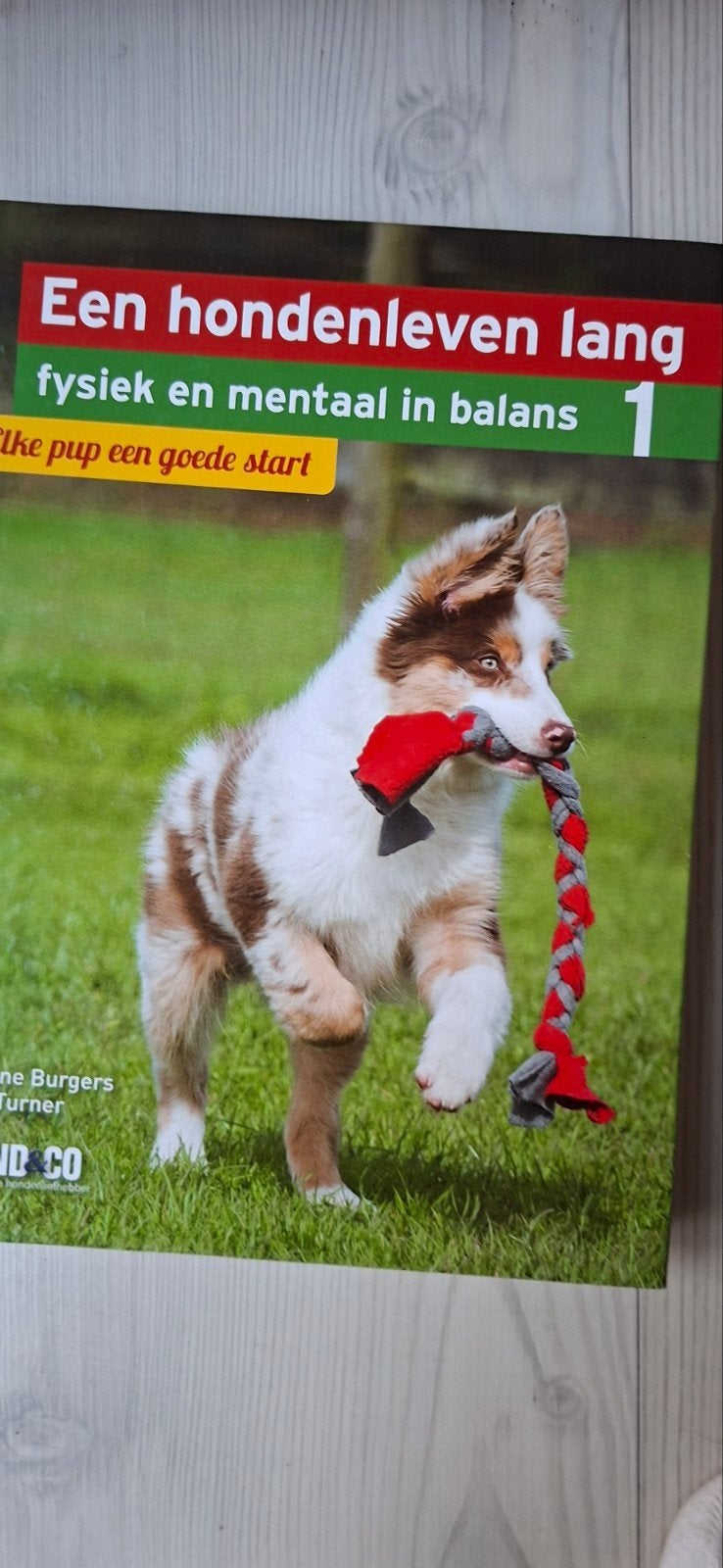 Een hondenleven lang - fysiek en mentaal in balans, Ophalen of Verzenden, Zo goed als nieuw, Honden, Ine Burgers, Turner
