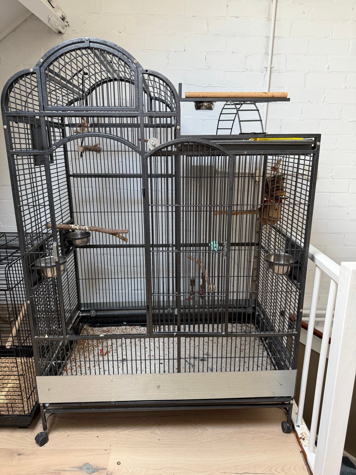 Grote papegaaien kooi, Ophalen, Zo goed als nieuw, Metaal, Vogelkooi