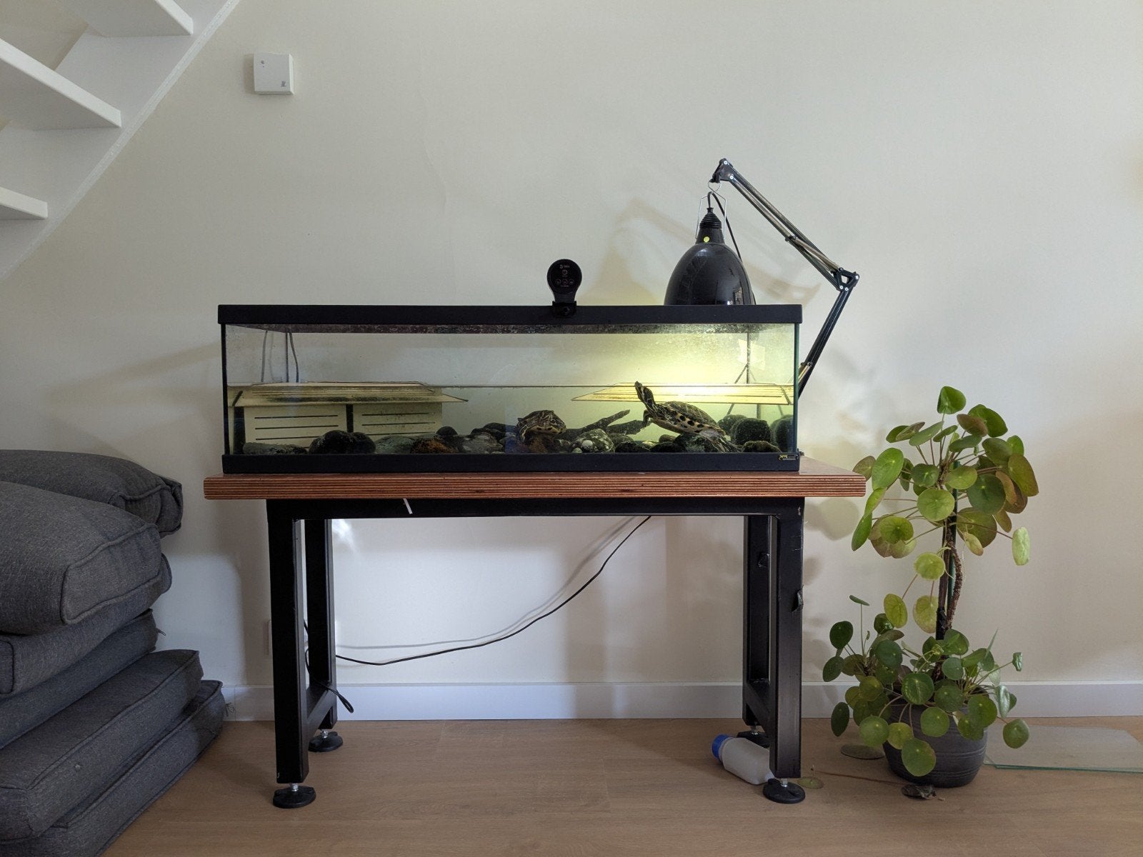 Aquarium voor waterschildpadden Tortum 100, Dieren en Toebehoren, Ophalen, Gebruikt, Terrarium of Paludarium