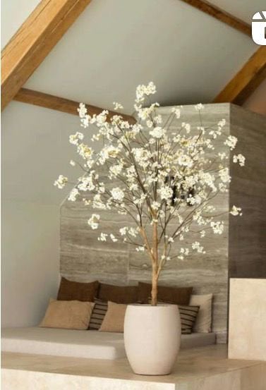 Bloesemboom silkhouse 180cm, Ophalen, Zo goed als nieuw