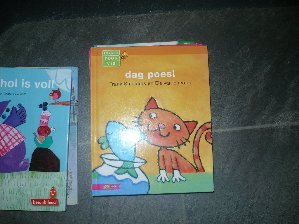 10 leesboekjes groep 3 en 4, Boeken, Ophalen of Verzenden, Gelezen, Fictie algemeen