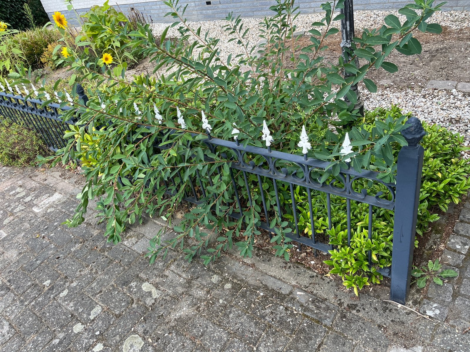 Tuinhek lengte 7,60 m1, Tuin en Terras, Ophalen, Gebruikt, IJzer, Tuinhek