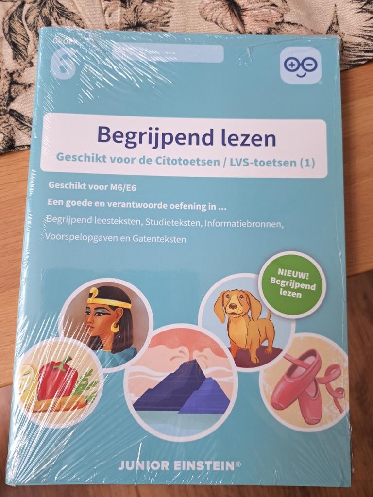Junior Einstein Begrijpend Lezen Groep 6 - Nieuw, Ophalen of Verzenden, Nieuw