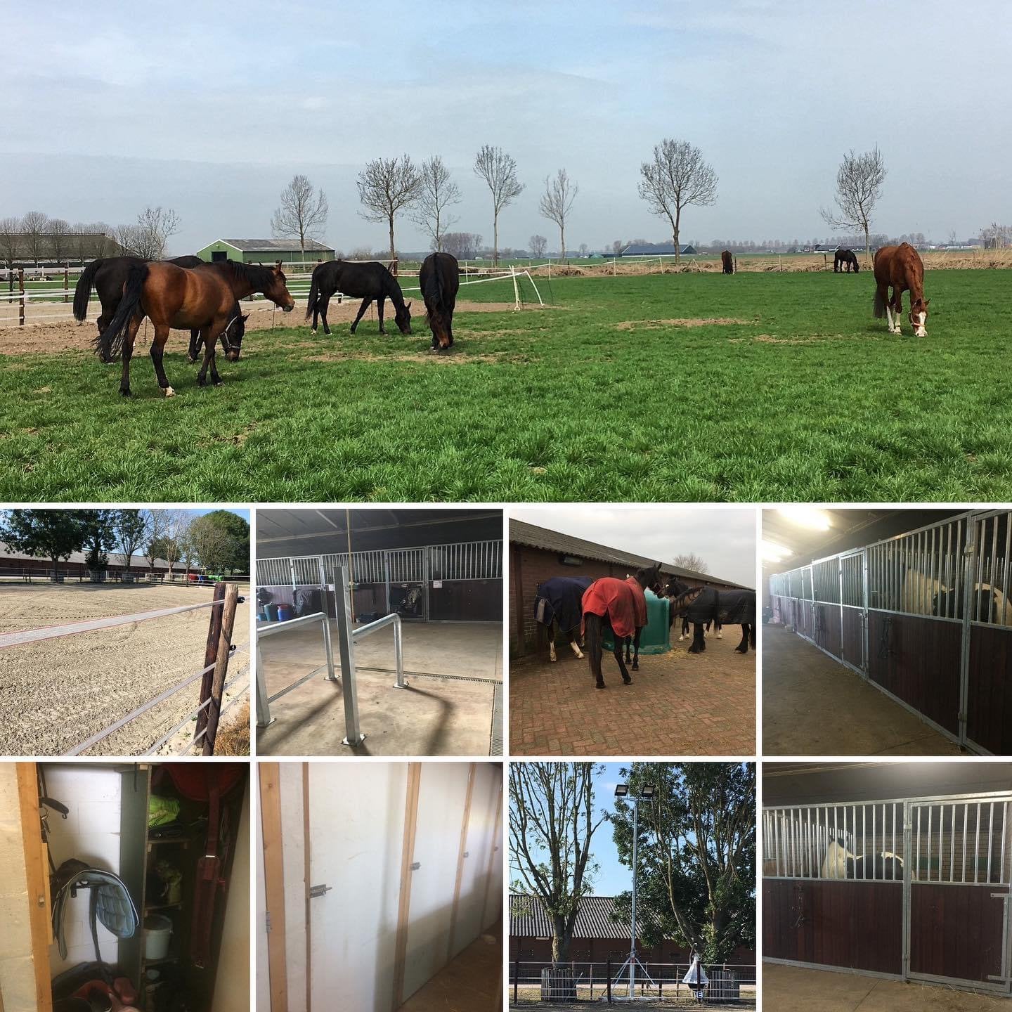 Per direct pensionstalling aangeboden, Weidegang, 4 paarden of pony's of meer