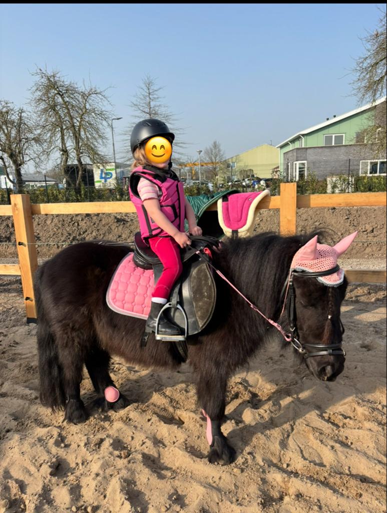 Shetlander / Kinderpony, Ruin, Zadelmak, A pony (tot 1.17m), 3 tot 6 jaar