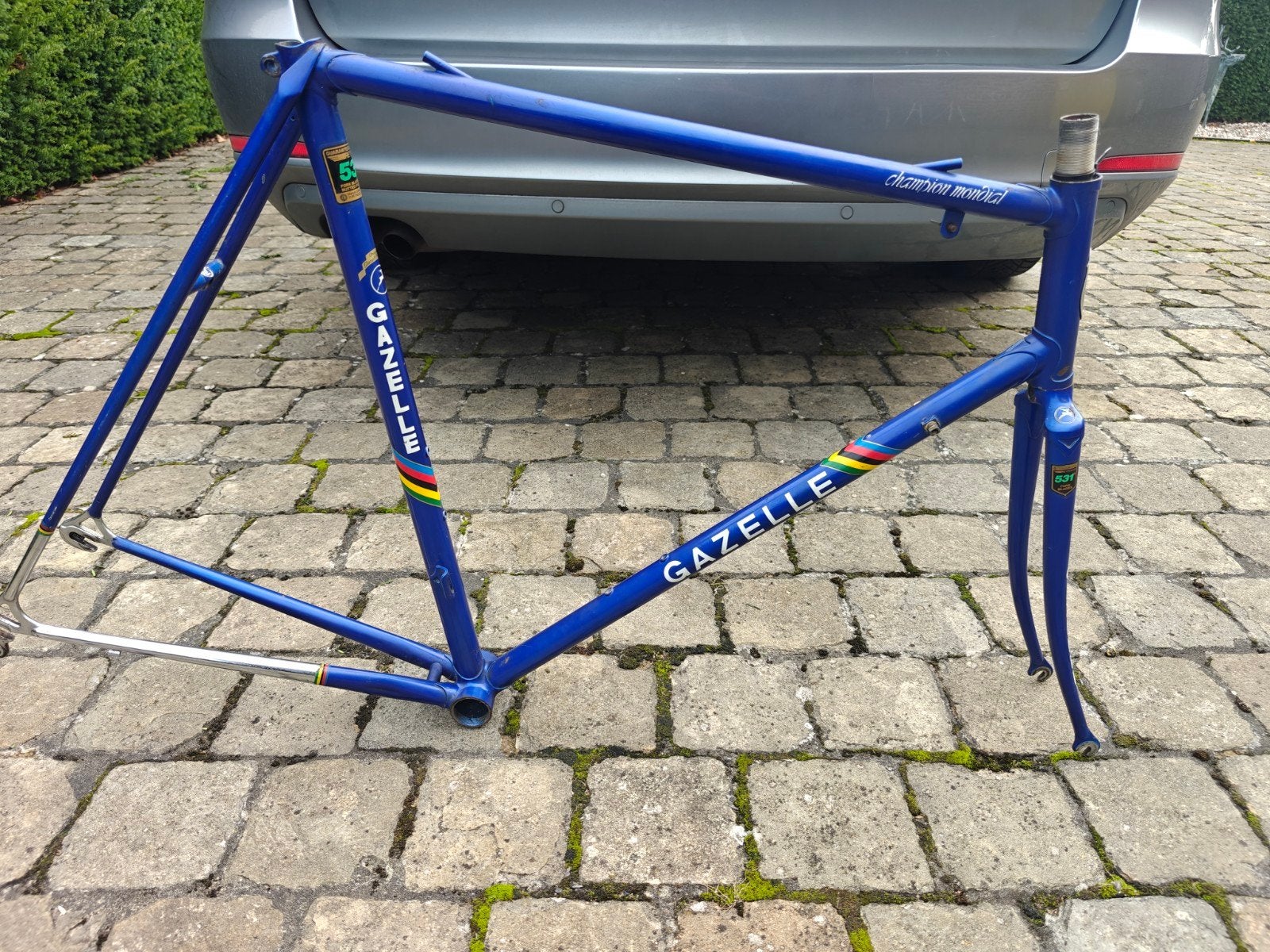 gazelle champion mondial koersframe maat 60 ct, Ophalen