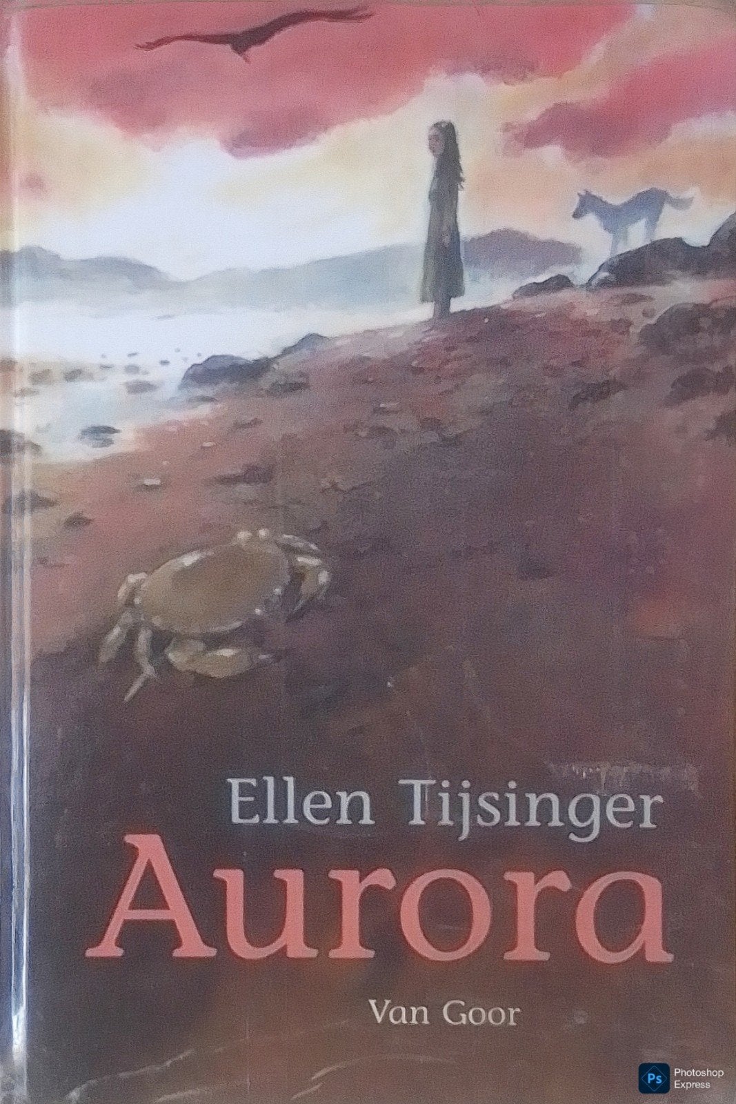 Aurora, Gelezen, Ophalen of Verzenden, Ellen Tijsinger., Fictie