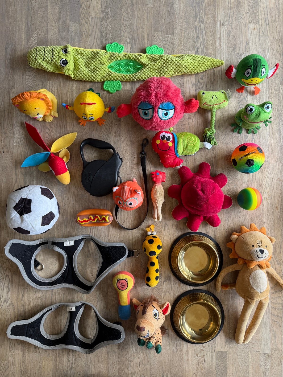 25 delige set voerbakjes tuigjes Flexi riem en speeltjes, Ophalen of Verzenden, Zo goed als nieuw, Hondenspeelgoed