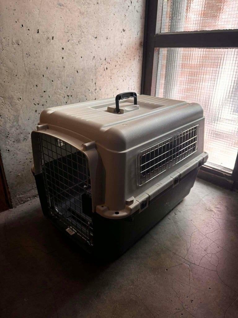 Dog Cage, Ophalen of Verzenden