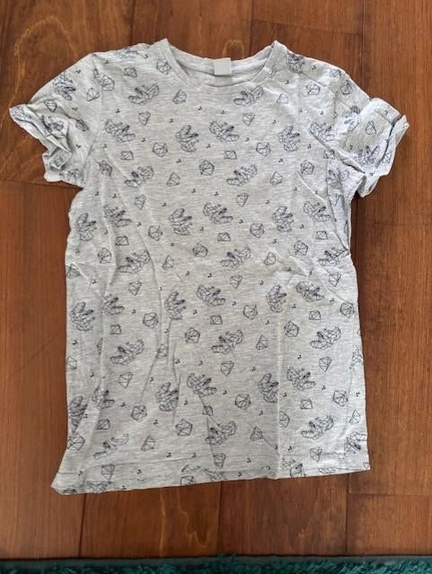 Grijs t-shirt met opdruk van dino's, maat 158/164, YFK, Ophalen of Verzenden, Zo goed als nieuw, Shirt of Longsleeve