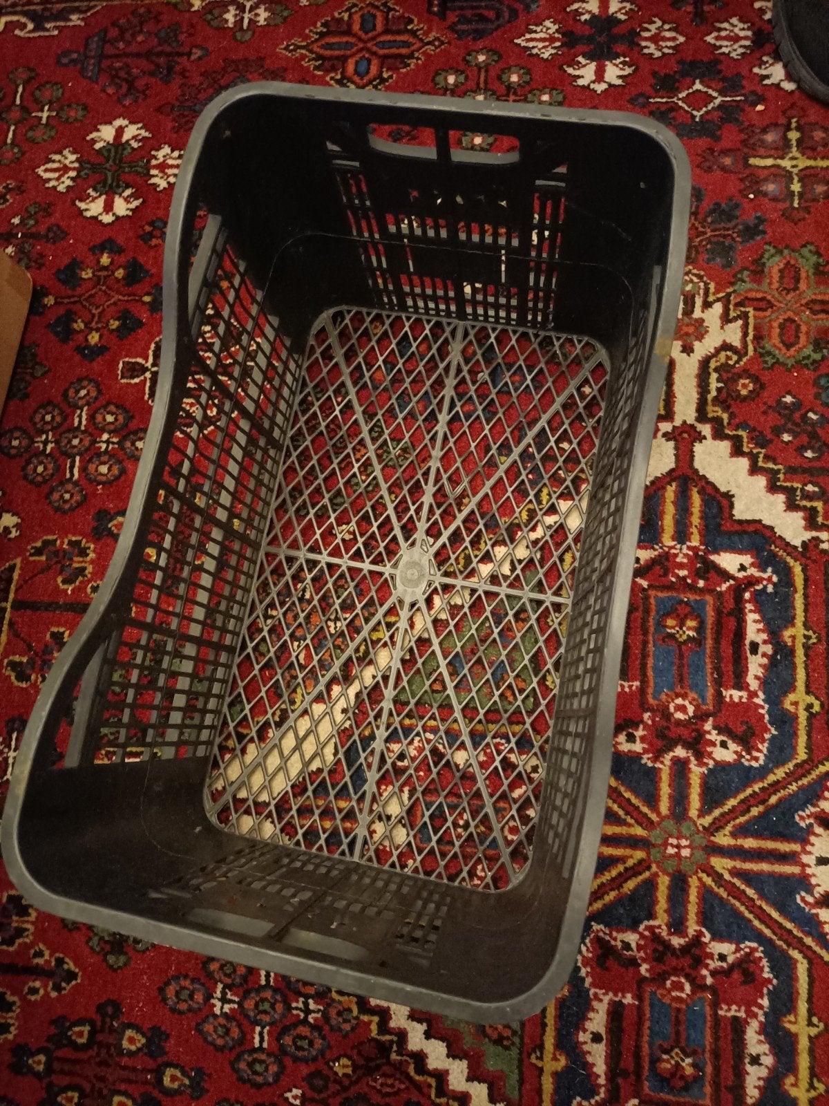 fietskrat 5 euro, Ophalen of Verzenden