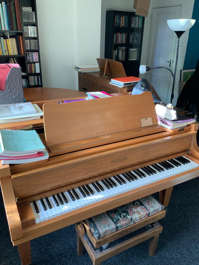 Vleugel, Muziek en Instrumenten, Piano's, Ophalen, Gebruikt, Bruin, Vleugel