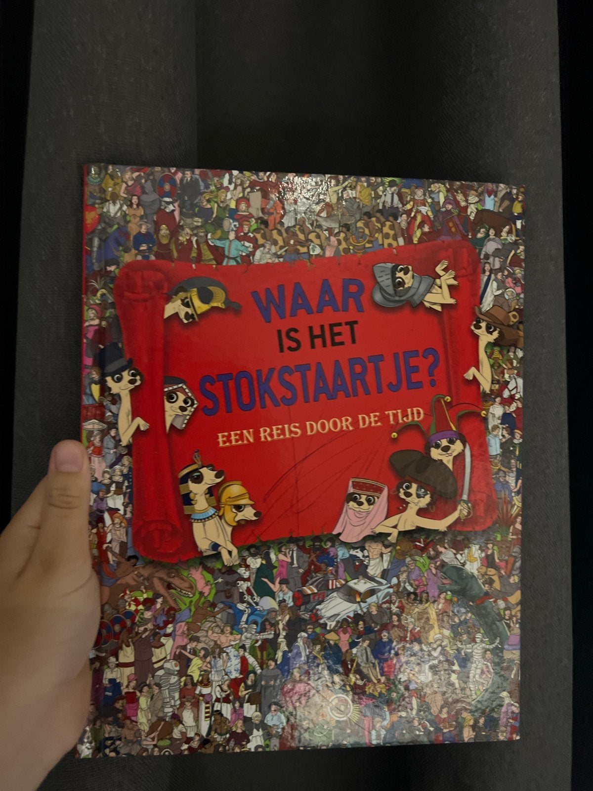 Waar is het stokstaartje? Een reis door de tijd, Ophalen of Verzenden, Zo goed als nieuw, Fictie algemeen