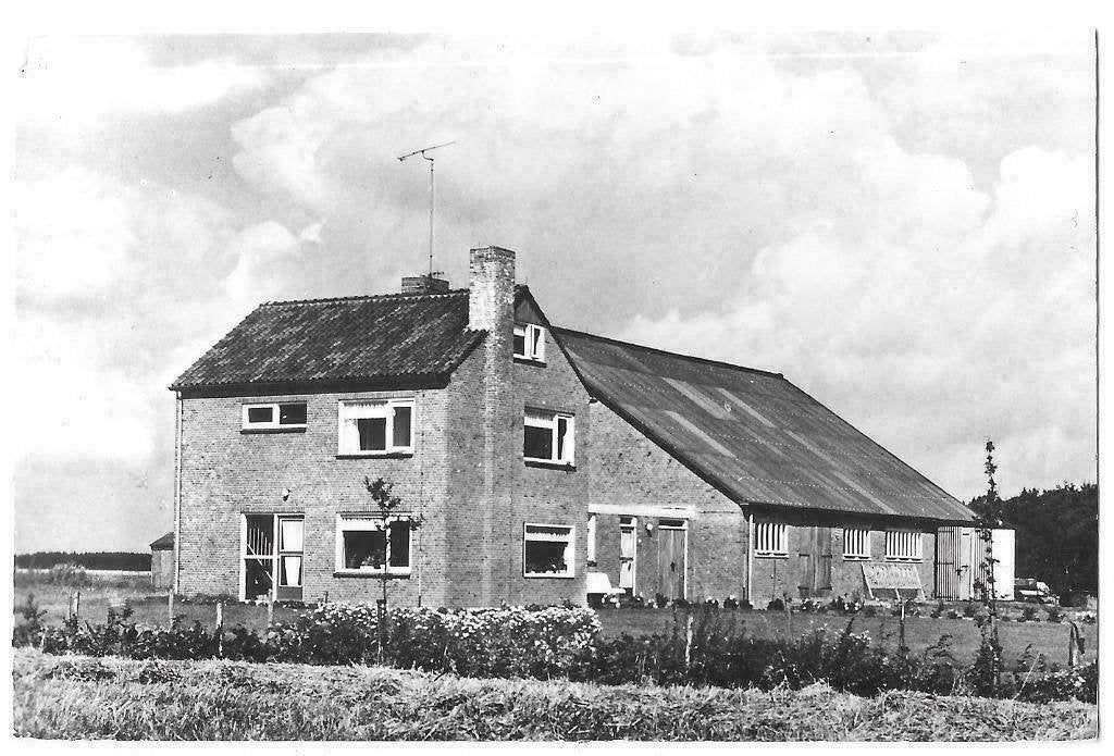 AK 's-Gravenhage - Hofspui, reprint, Verzenden, 1960 tot 1980, Ongelopen, Limburg