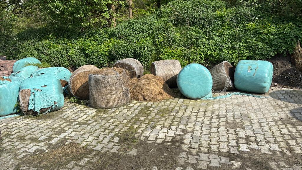 Hooi strooisel, Dieren en Toebehoren, Ophalen of Verzenden, Vee