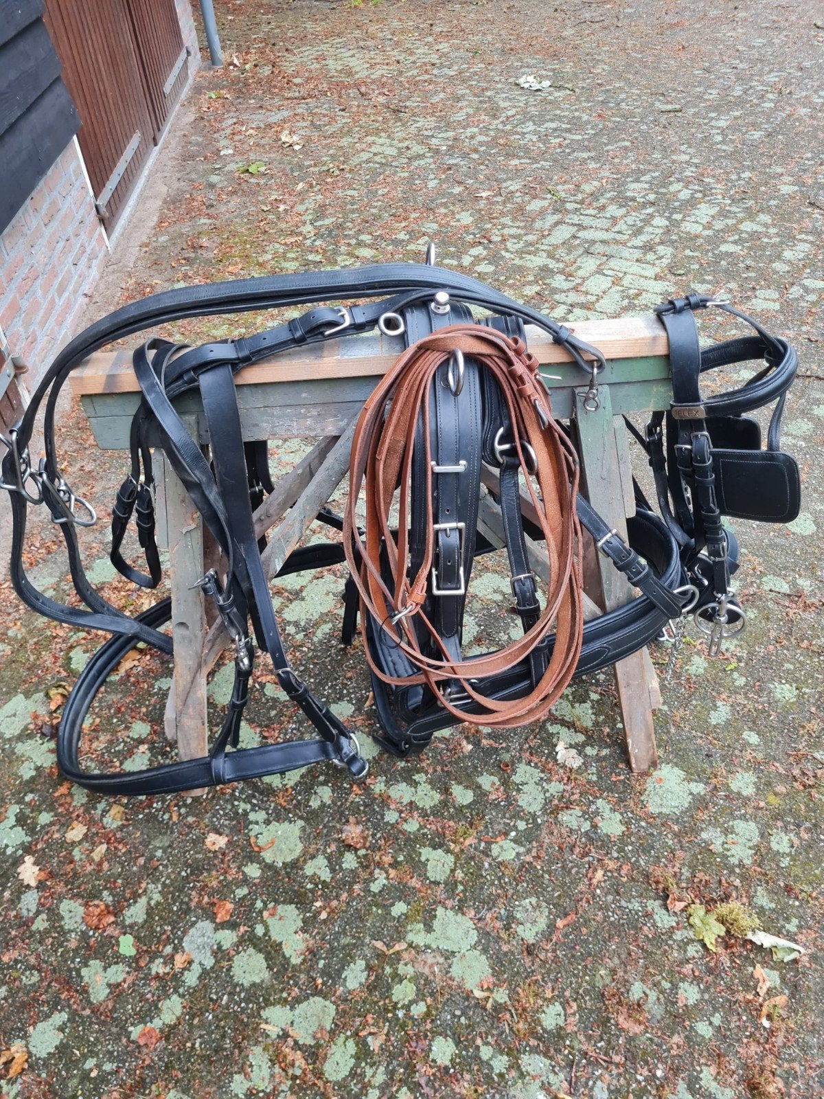 enkelspan borsttuig, Ophalen, Inclusief teugels, Borsttuig, Full