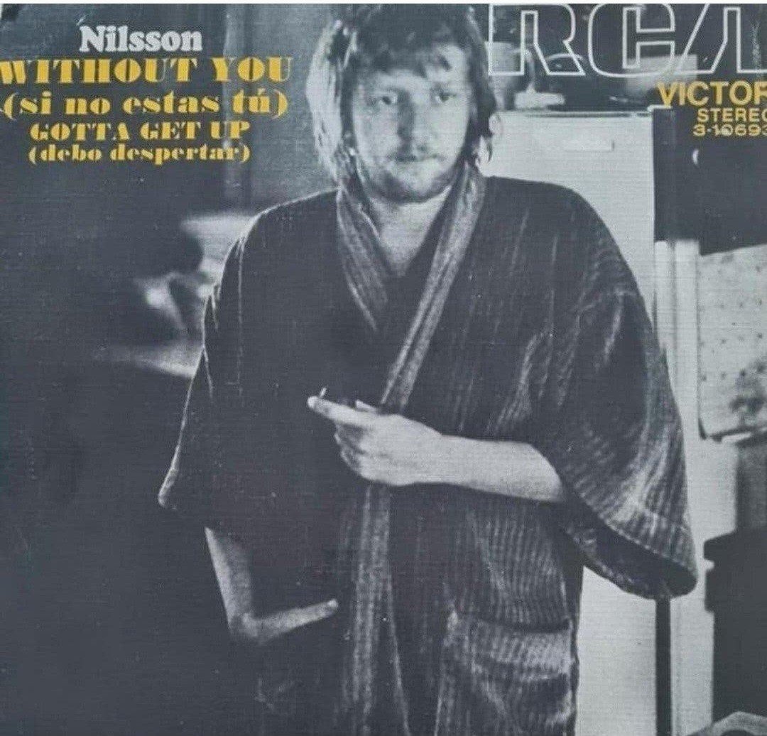 NILSSON - WITHOUT YOU, Ophalen of Verzenden, Gebruikt, Pop