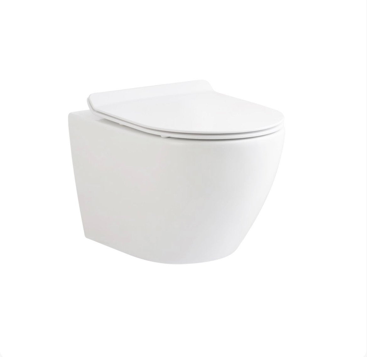 WC en WC + Bidet, Doe-het-zelf en Verbouw, Ophalen, Zo goed als nieuw, Rvs, Toilet