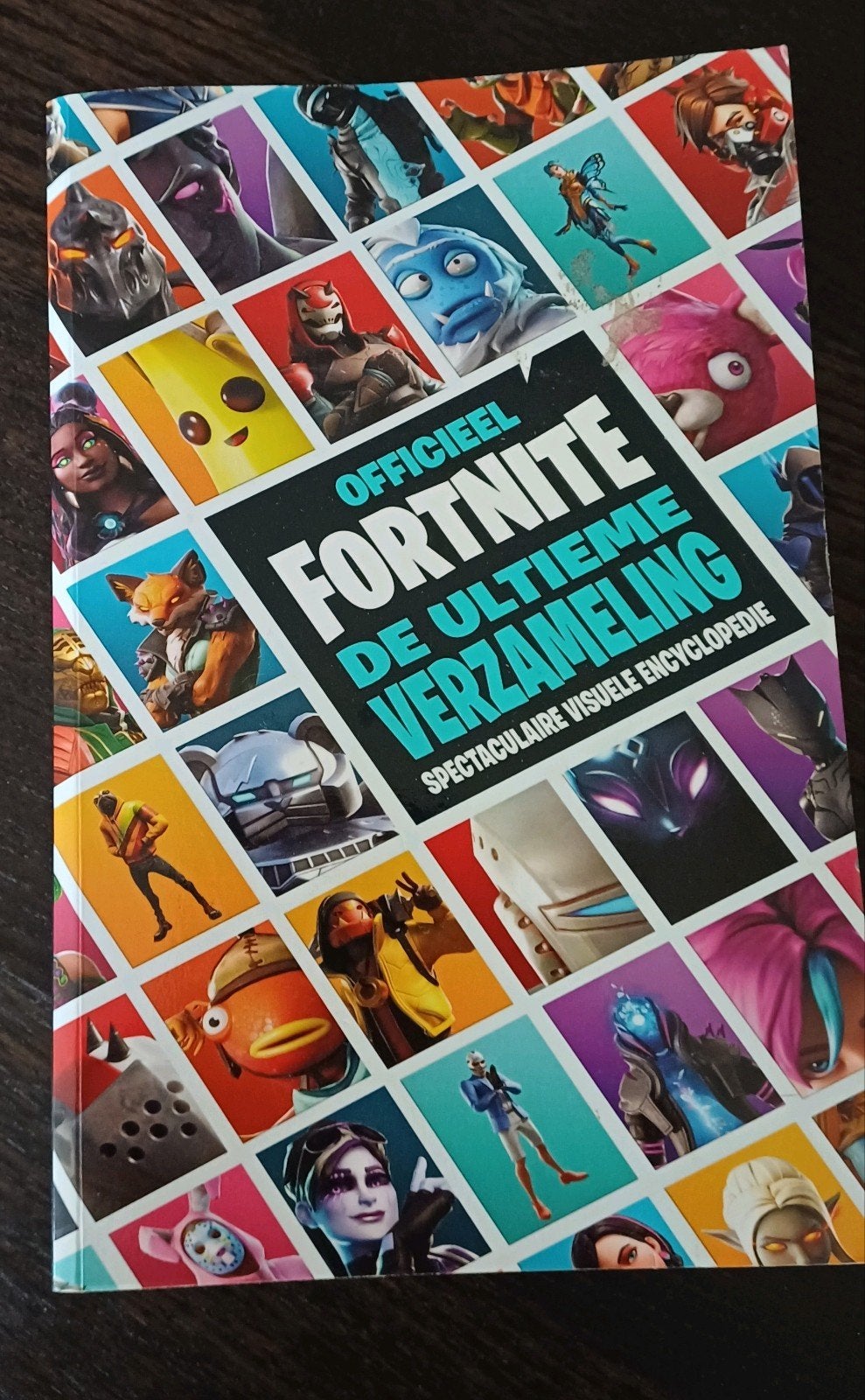 Fortnite boek, Ophalen of Verzenden, Zo goed als nieuw, Artiest
