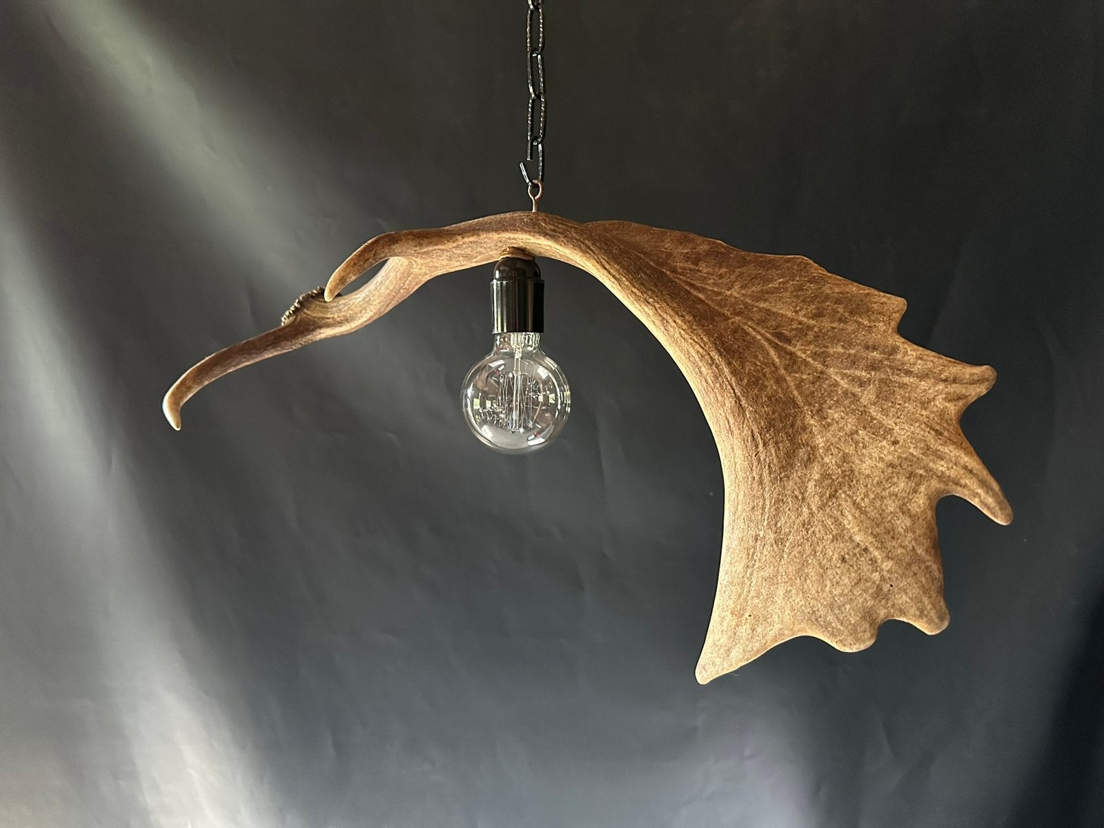Geweienlamp.lamp.hanglamp.geweien.edelhert.damhert.brocante, Ophalen of Verzenden, Nieuw, Minder dan 50 cm