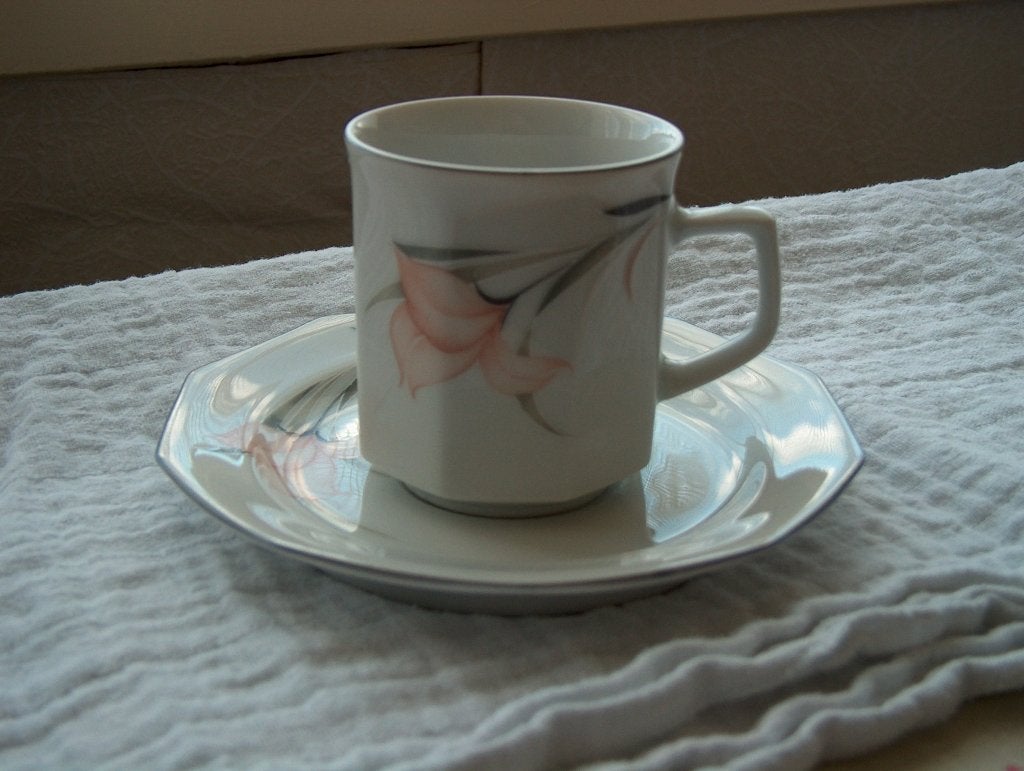 kop en schotel, Huis en Inrichting, Keuken | Servies, Nieuw, Ophalen of Verzenden, Overige stijlen, Kop(pen) en/of Schotel(s)