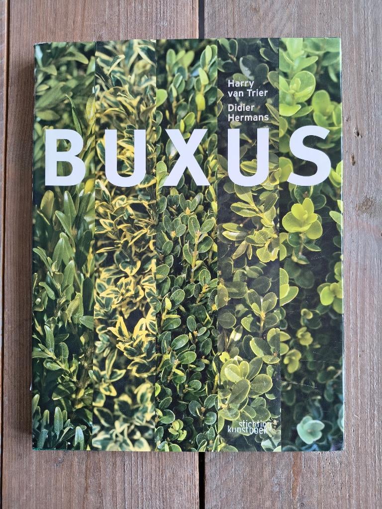 Buxus - Buxasea - Didier Hermans, Harry van Trier 9058561720, Ophalen of Verzenden, Gelezen, Didier Hermans, Harry van Trier, Tuinieren en Tuinplanten