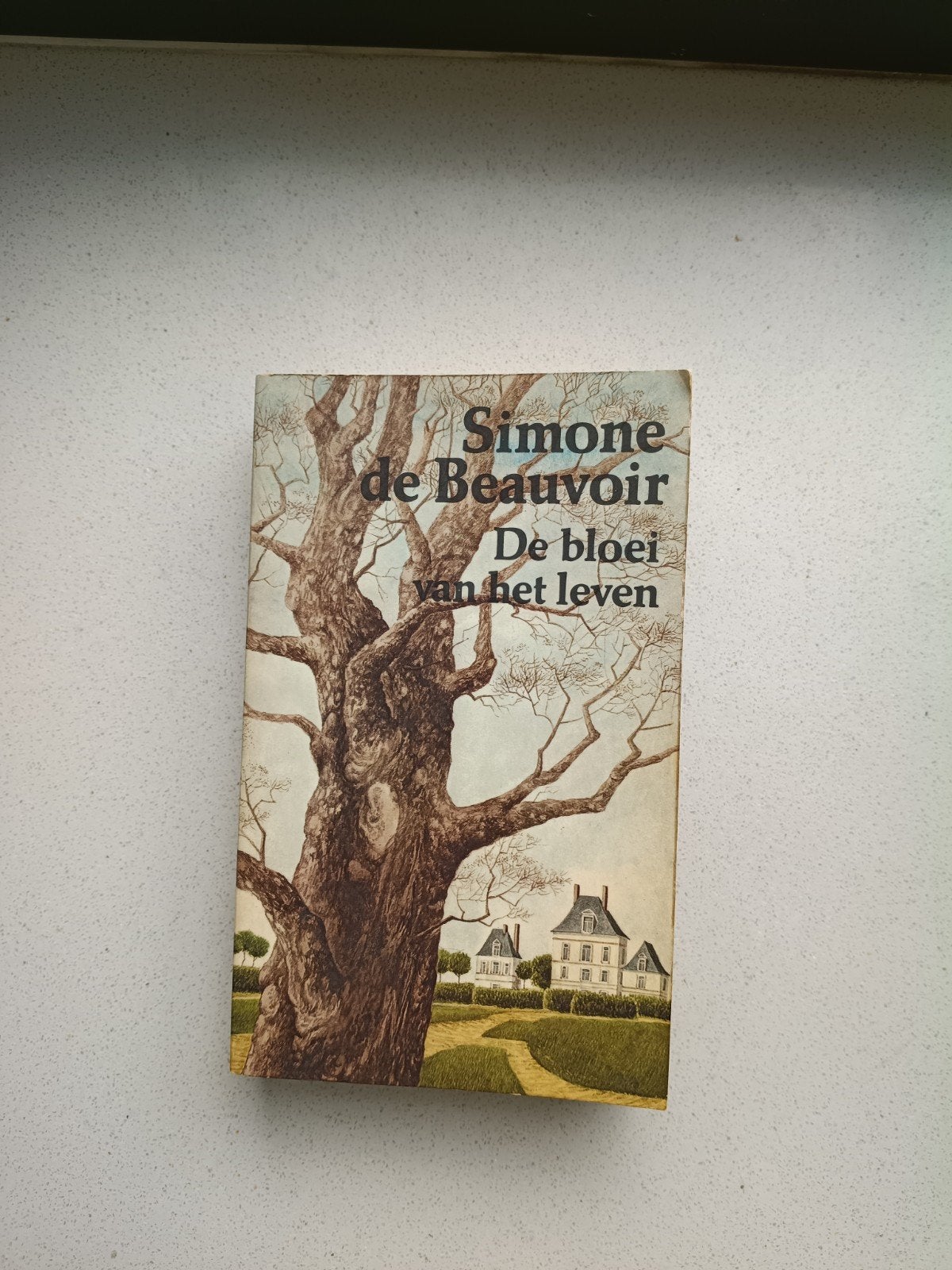 De Bloei van het Leven - Simone de Beauvoir, Ophalen of Verzenden, Gelezen, Europa overig