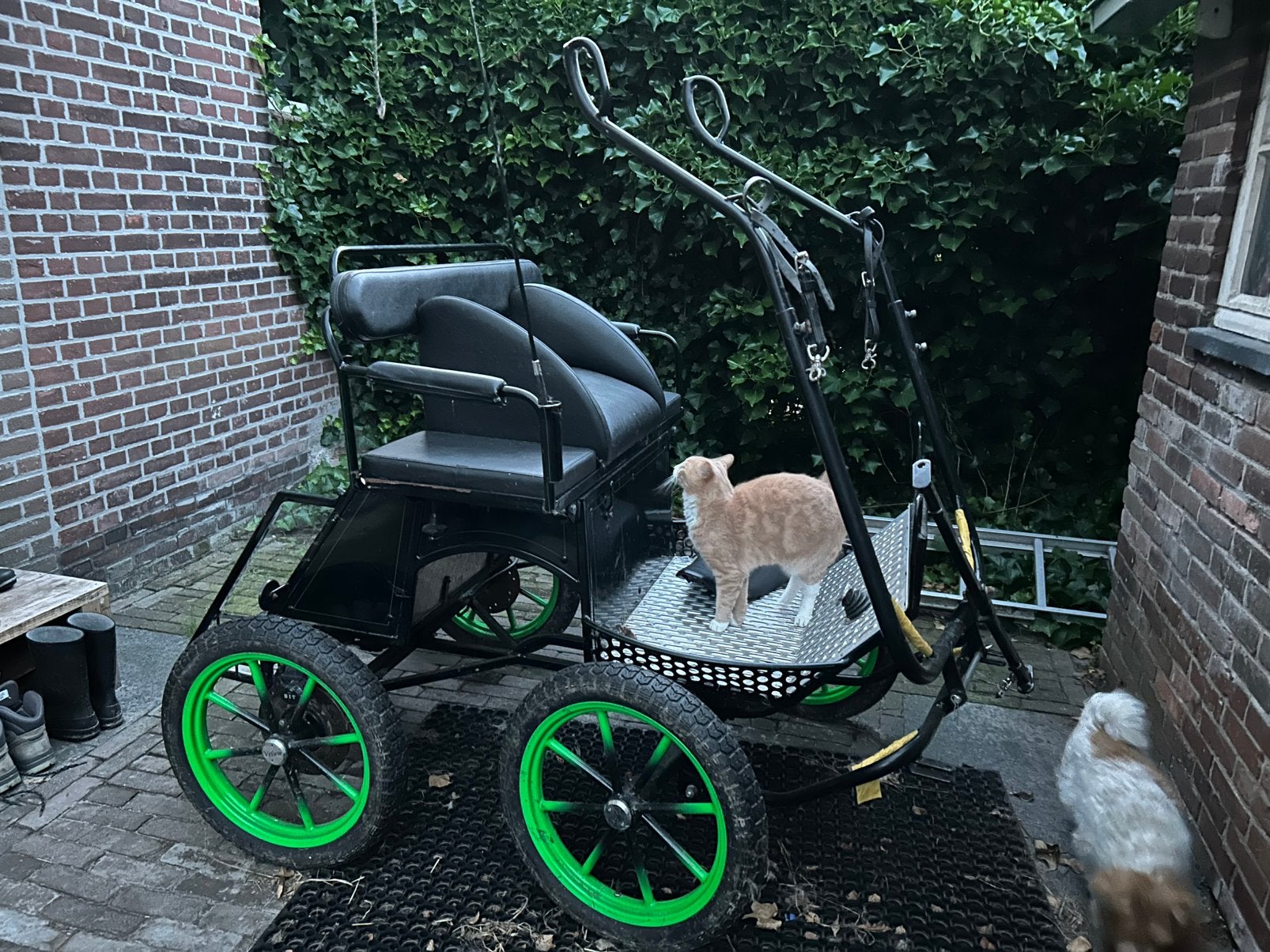 Menwagen 16 inch, Ophalen, Gebruikt, Overige disciplines