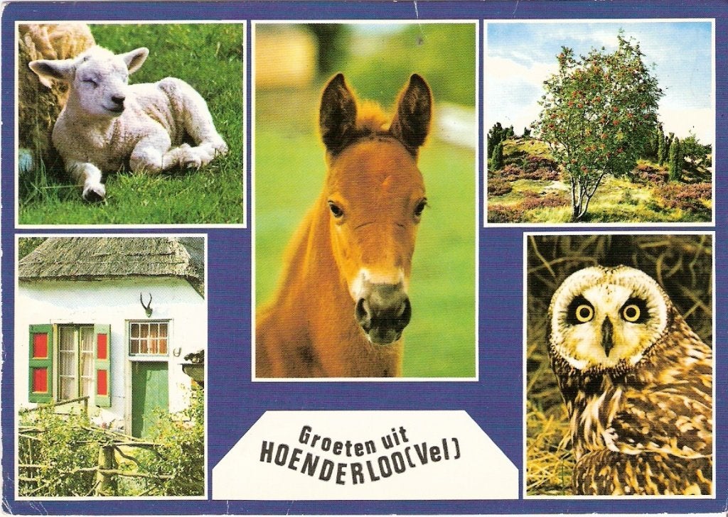 Hoenderloo         370, Ophalen of Verzenden, Voor 1920