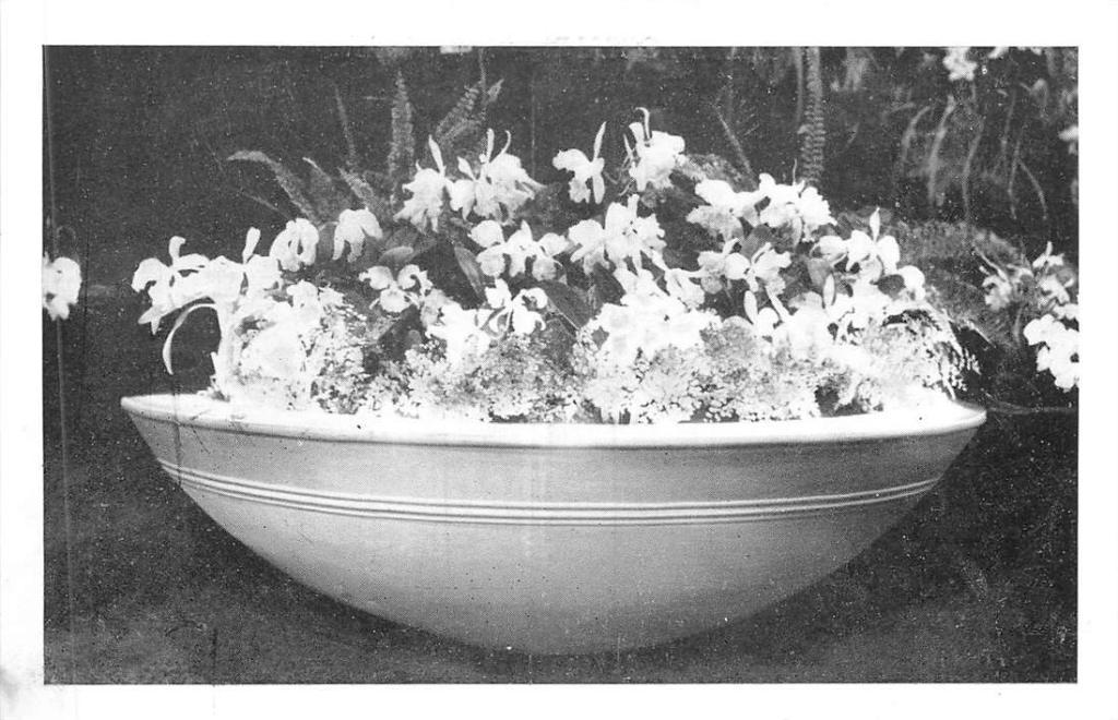 381-237-007 Floralies Gantoises, Verzamelen, Ansichtkaarten | Buitenland, Overig Europa, Voor 1920, Verzenden