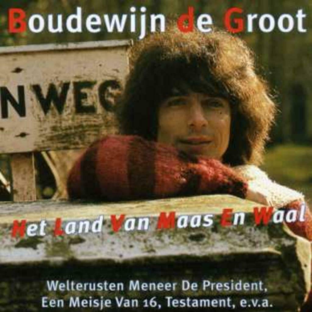 Boudewijn de Groot, Cd's en Dvd's, Cd's | Nederlandstalig, Zo goed als nieuw, Pop, Ophalen of Verzenden