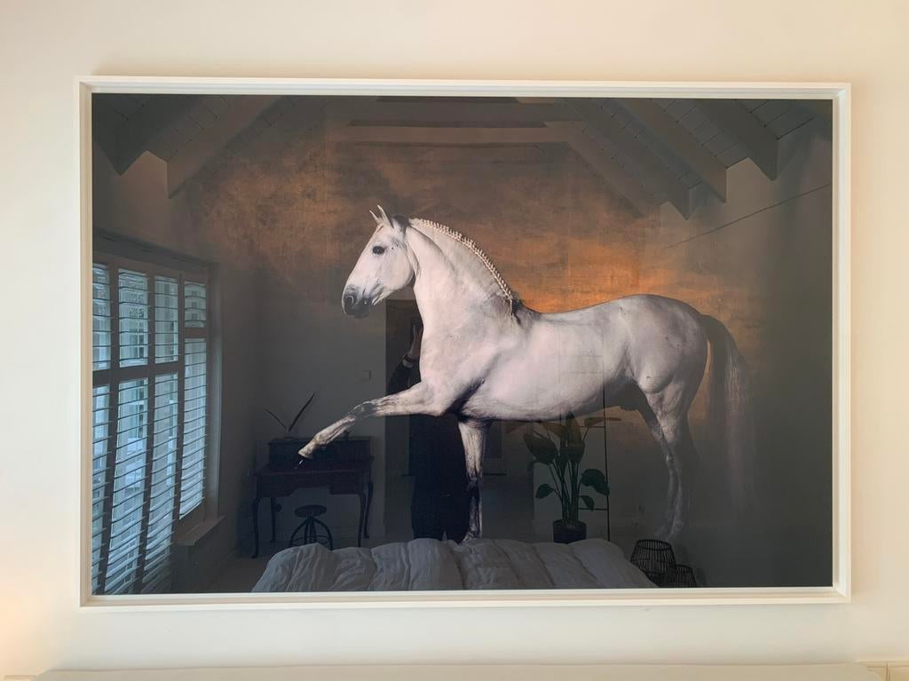 Fotografiekunst | Arthus-Bertrand Yann 120x180cm collector, Antiek en Kunst, Ophalen