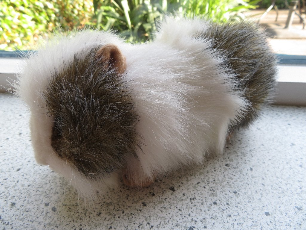 Langharig velours knuffel Cavia meet ca 22 cm breed, Kinderen en Baby's, Speelgoed | Knuffels en Pluche, Ophalen of Verzenden
