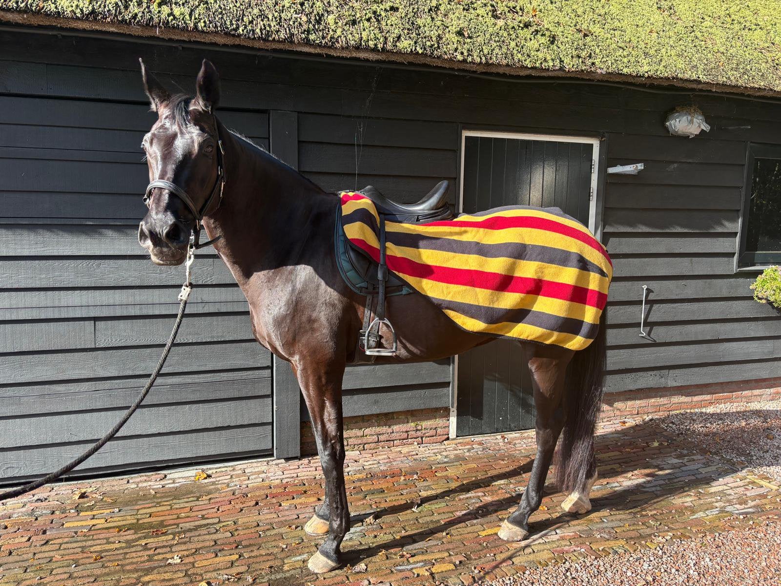 Horseware uitrijdeken full, Full (L), Ophalen of Verzenden, Zo goed als nieuw, Geel